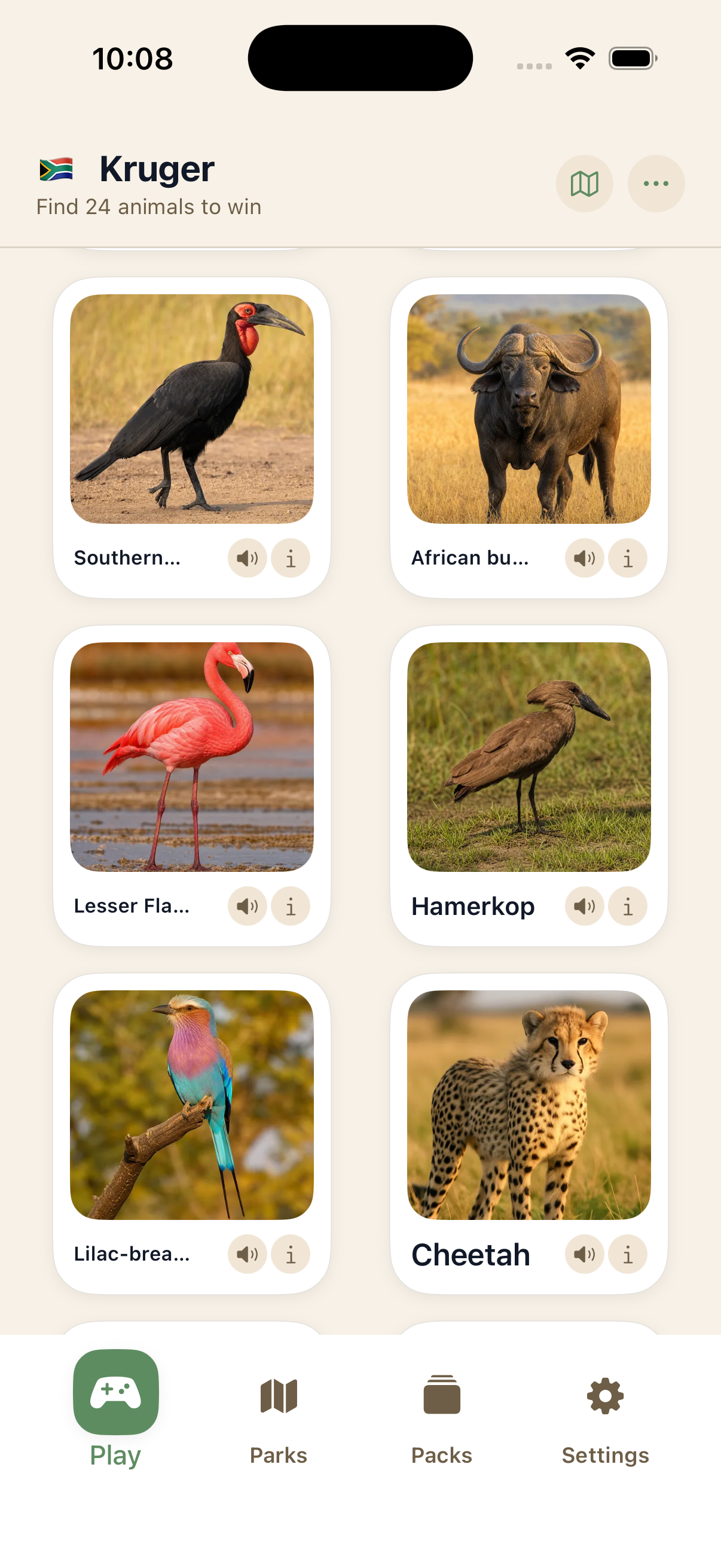 Safari Bingo
