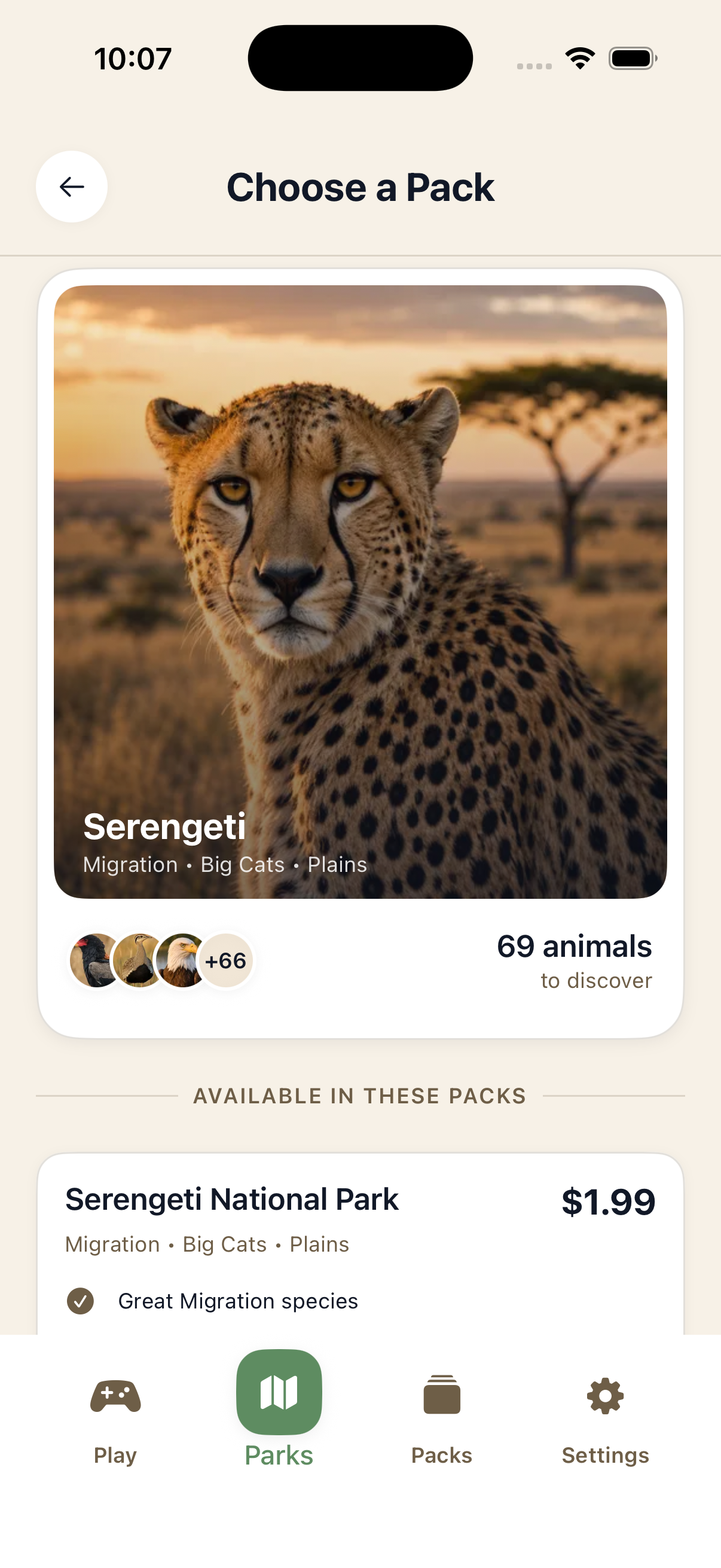 Safari Bingo packkeuze